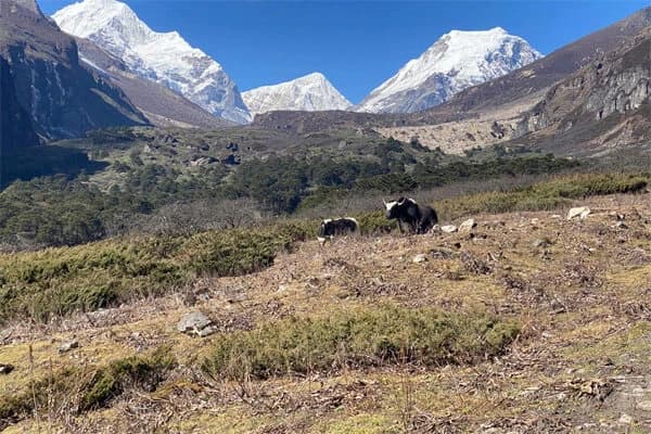 Everything you need to know about the Makalu Base Camp trek