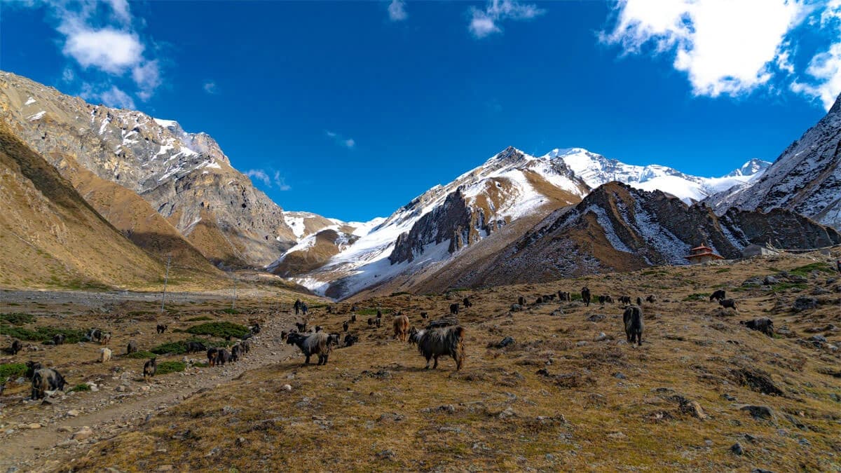 Ultimate Guide to Upper Mustang Trek