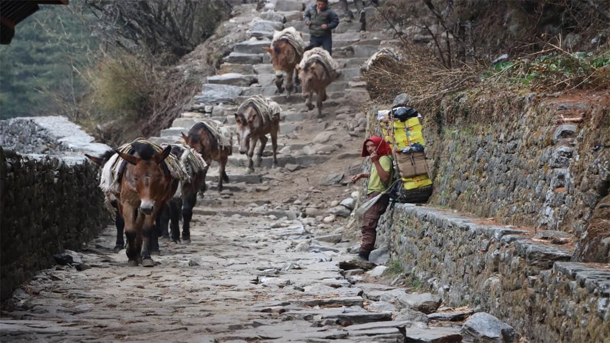 Lonely Planet Everest Trek