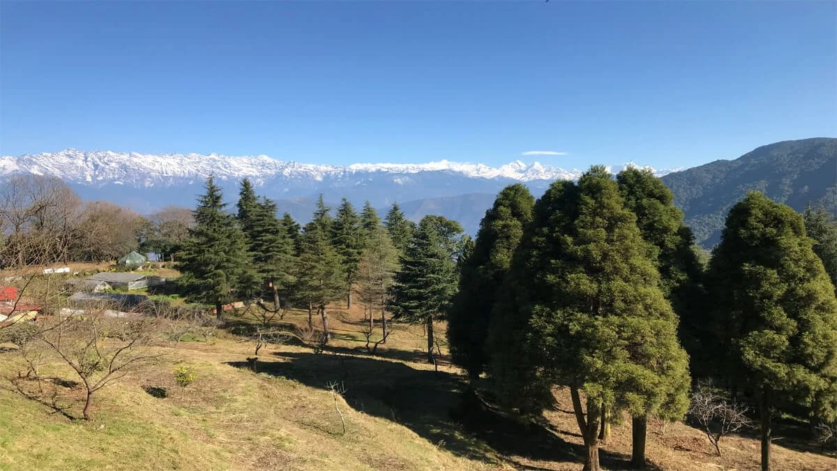 Ganesh Himal Base Camp Trek