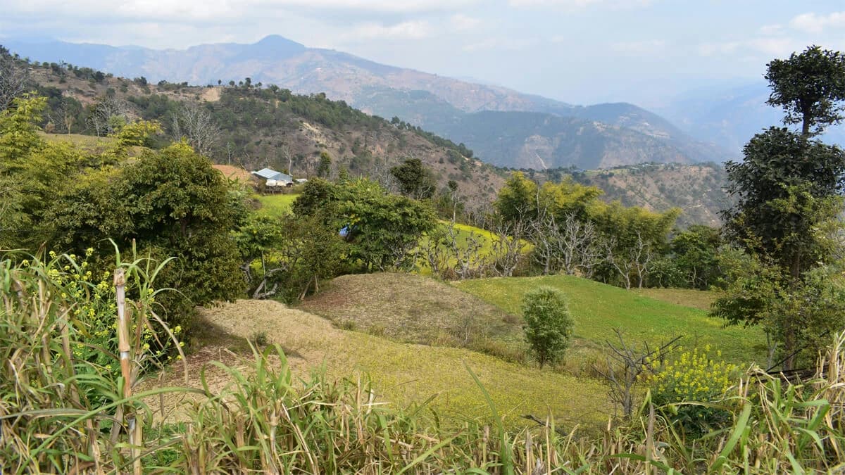 Chepang Hill Trek