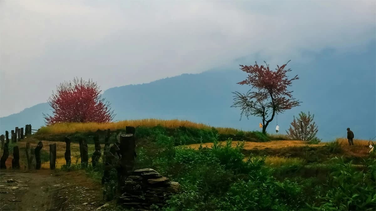 Saipal Himal Trek