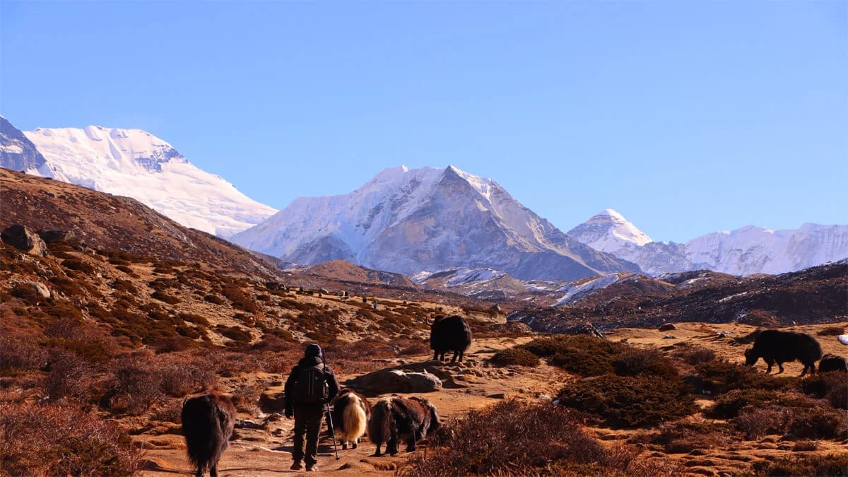 Mera Peak Climbing