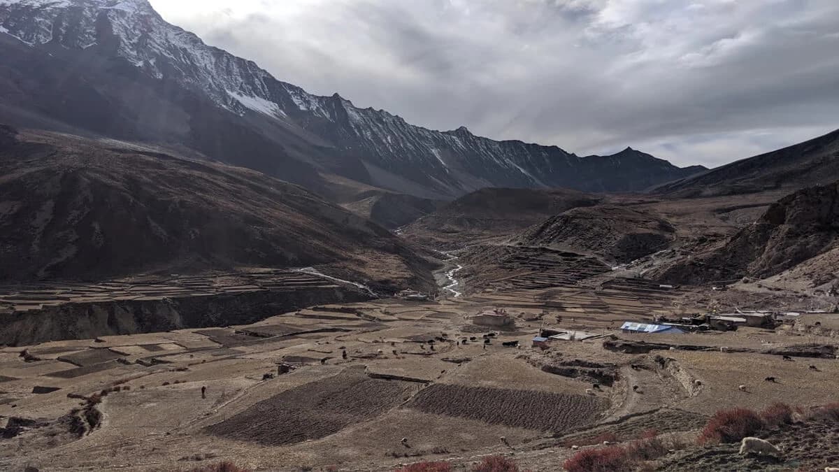 Nar Phu Valley Trek