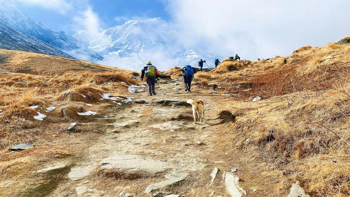 base camp Trekking in Nepal