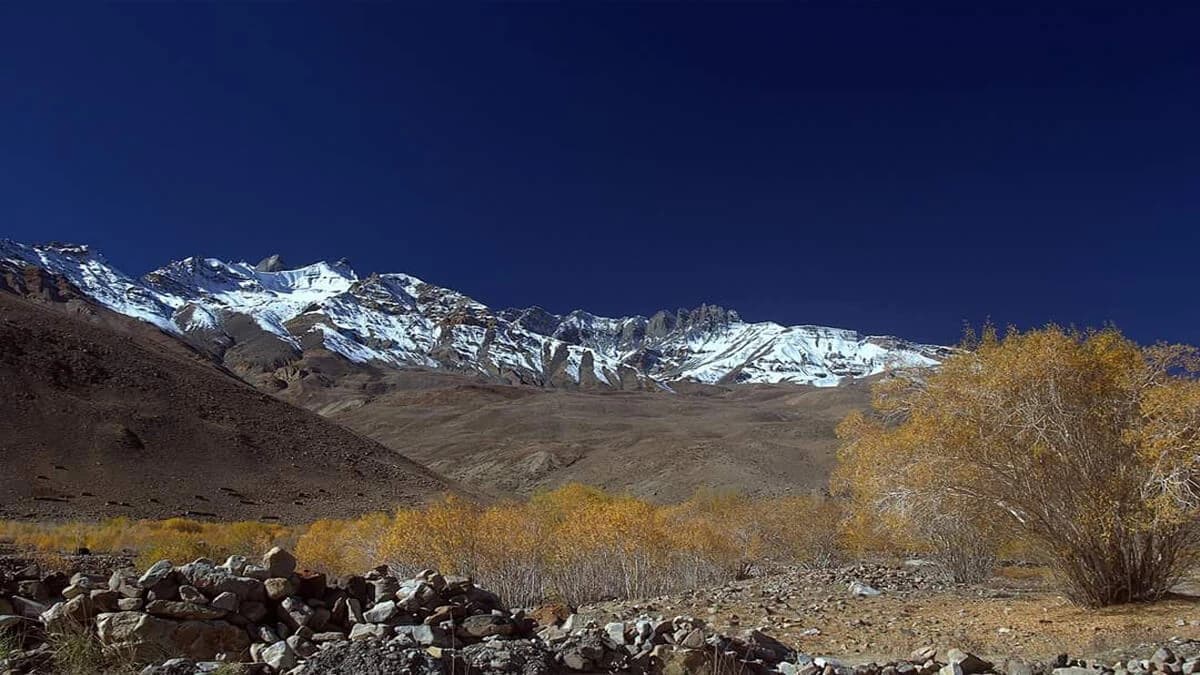 Tsum Valley Rupina La Pass Trek