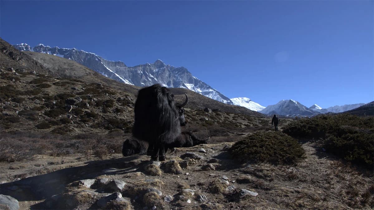 Best Time for Everest Base Camp trek