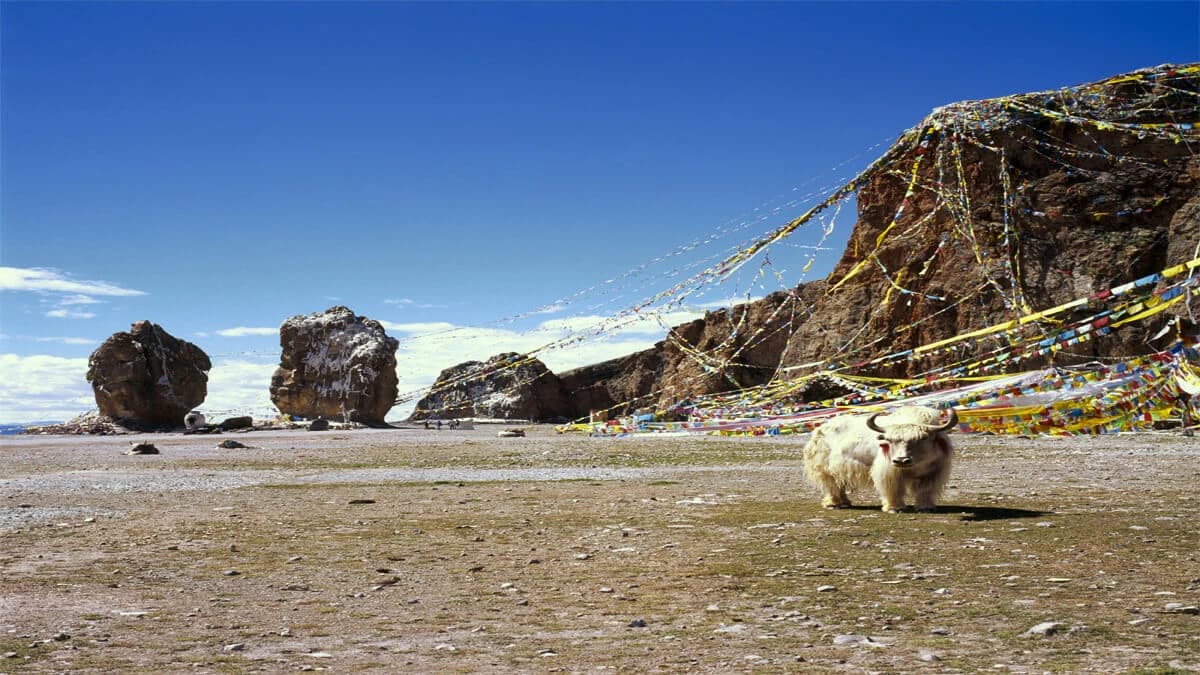 Kailash Tour Via Simikot