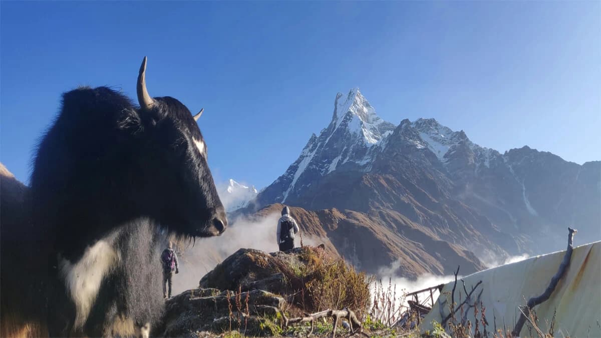 Mardi Himal Trek