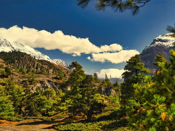 Landscape Of Annapurna