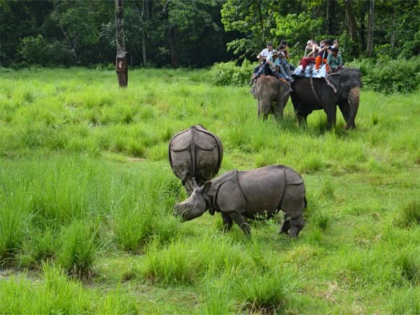 Chitwan Jungle Safari Tour