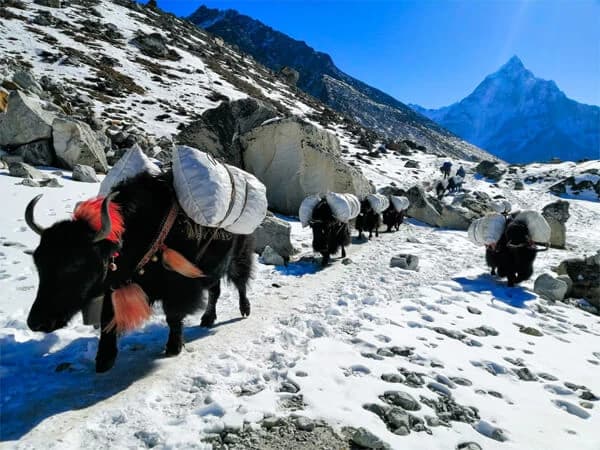 Short Everest Base Camp Trek