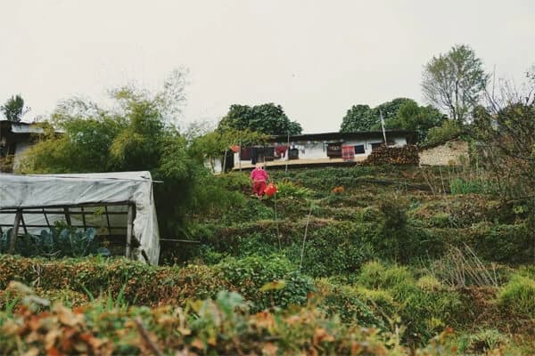 Top 10 Best Trekking Routes in Nepal