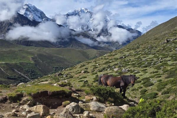 Trekking in the Everest Region