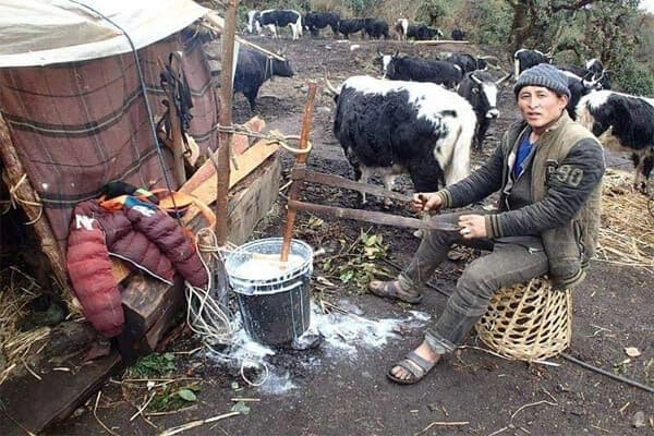 Tamang Heritage Trek Itinerary