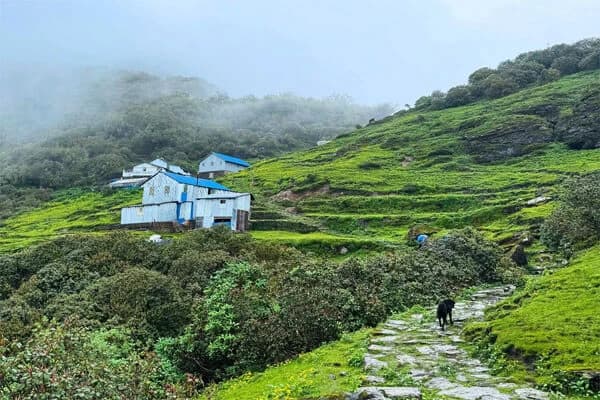 Makalu Base Camp Trek Difficulty