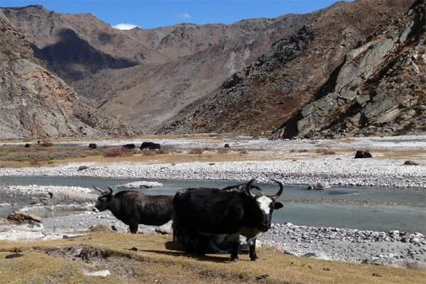 Tamang Heritage Trek Cost