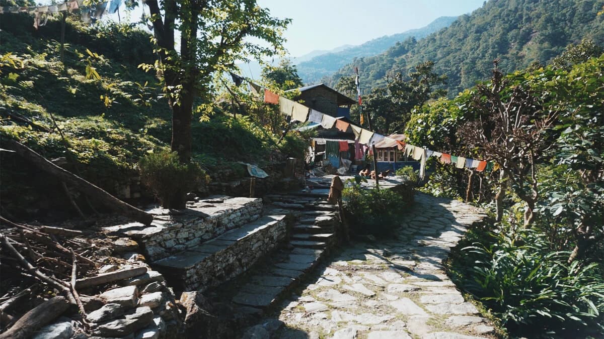 Why is Trekking in Nepal Important?