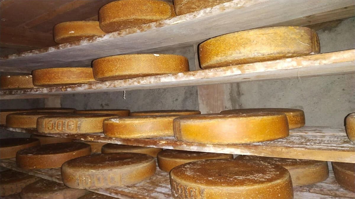 Tamang Heritage Trek Itinerary