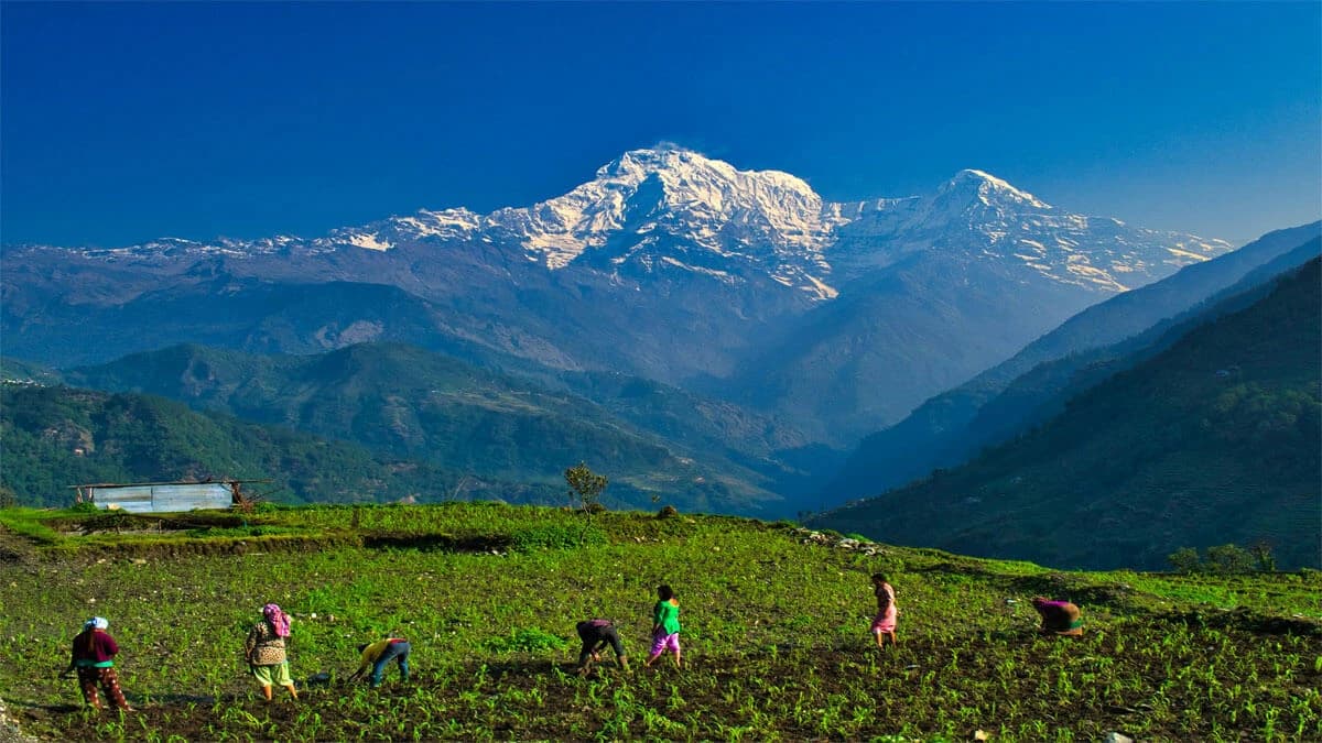 Best Season for Mardi Himal Trek