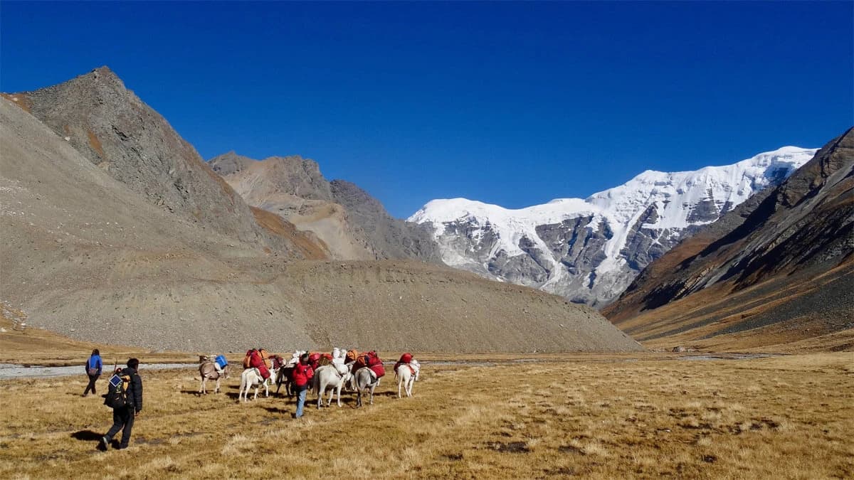 Upper Dolpo Trek Cost