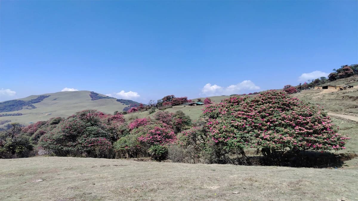Mundhum Cultural Trek