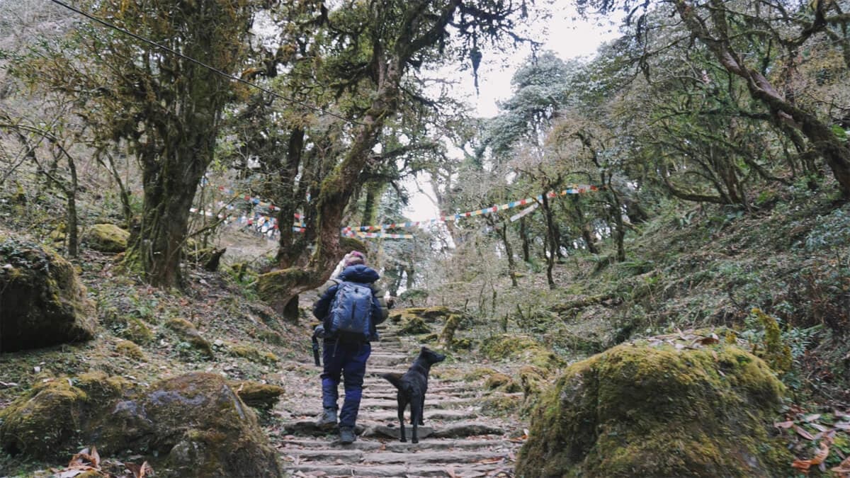 Nepal Trekking 2024/25